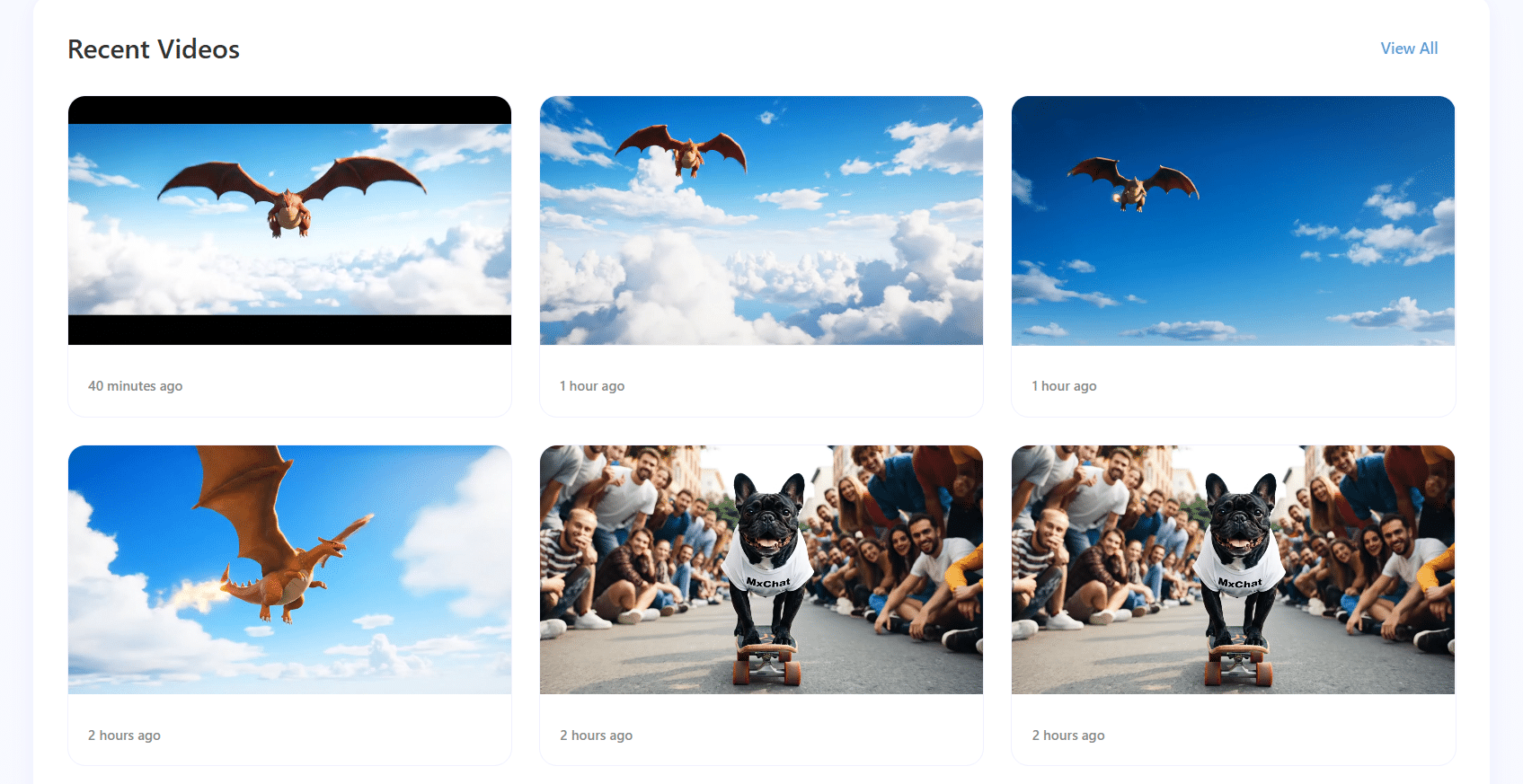 Video Gallery